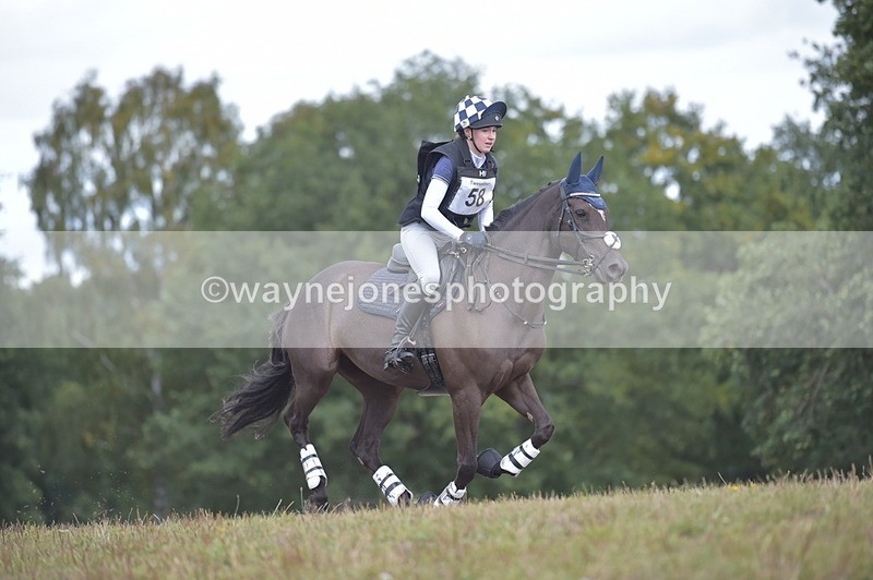 NGP_2294 - XC Time 11:20 to 11:36