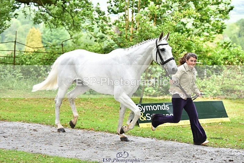 240522-155940-00631 - 112-DISCO_DONUT-Mahony_Knight