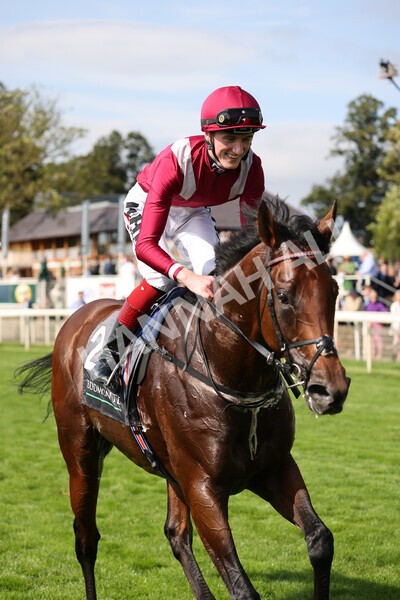 yr18082021r4-105 - Race 4 3.35pm Juddmonte International Stakes (British Champion Series race)