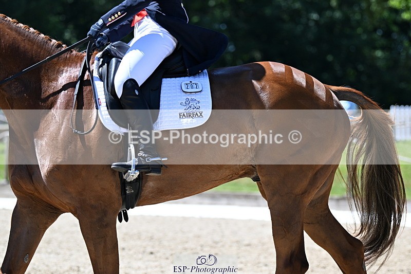 250522A-122220-03714 - C-202-Kitty.King-MBF.REDHOUSE.EVOQUE