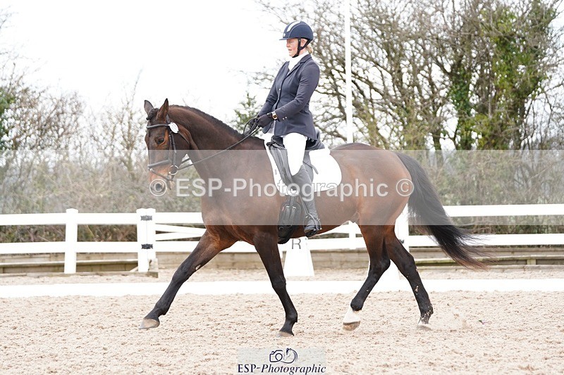 250322-121820-00339 - DR Novice 2 Test