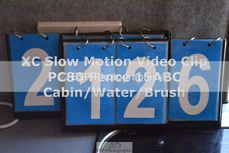 ESP_2126 - 2126-Grace.Lampson-Rusty.Rosog