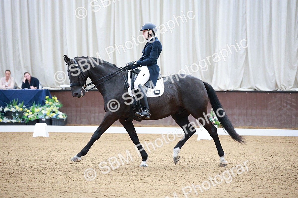SBM_008567 - Class 14 - FEI PSG - 9.30-10.30