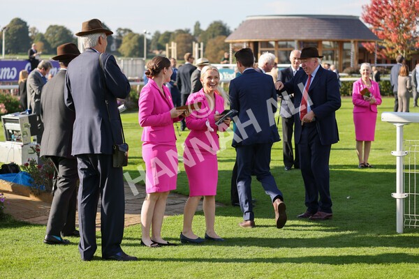 yr08102021r2-29 - Race 2 2.40pm Racing to School EBF Novice Stakes