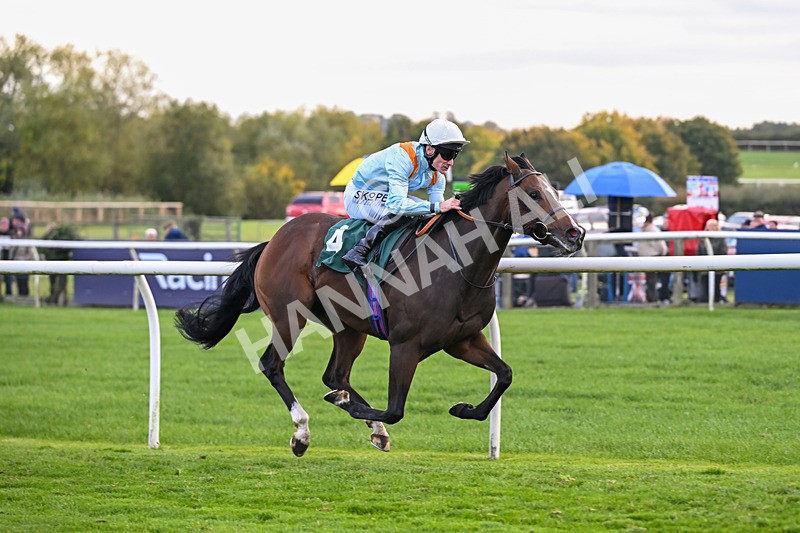171026-Race 7-Lexington Blitz-6409 - Race 7 4.45pm William Hill Catterick Dash Handicap