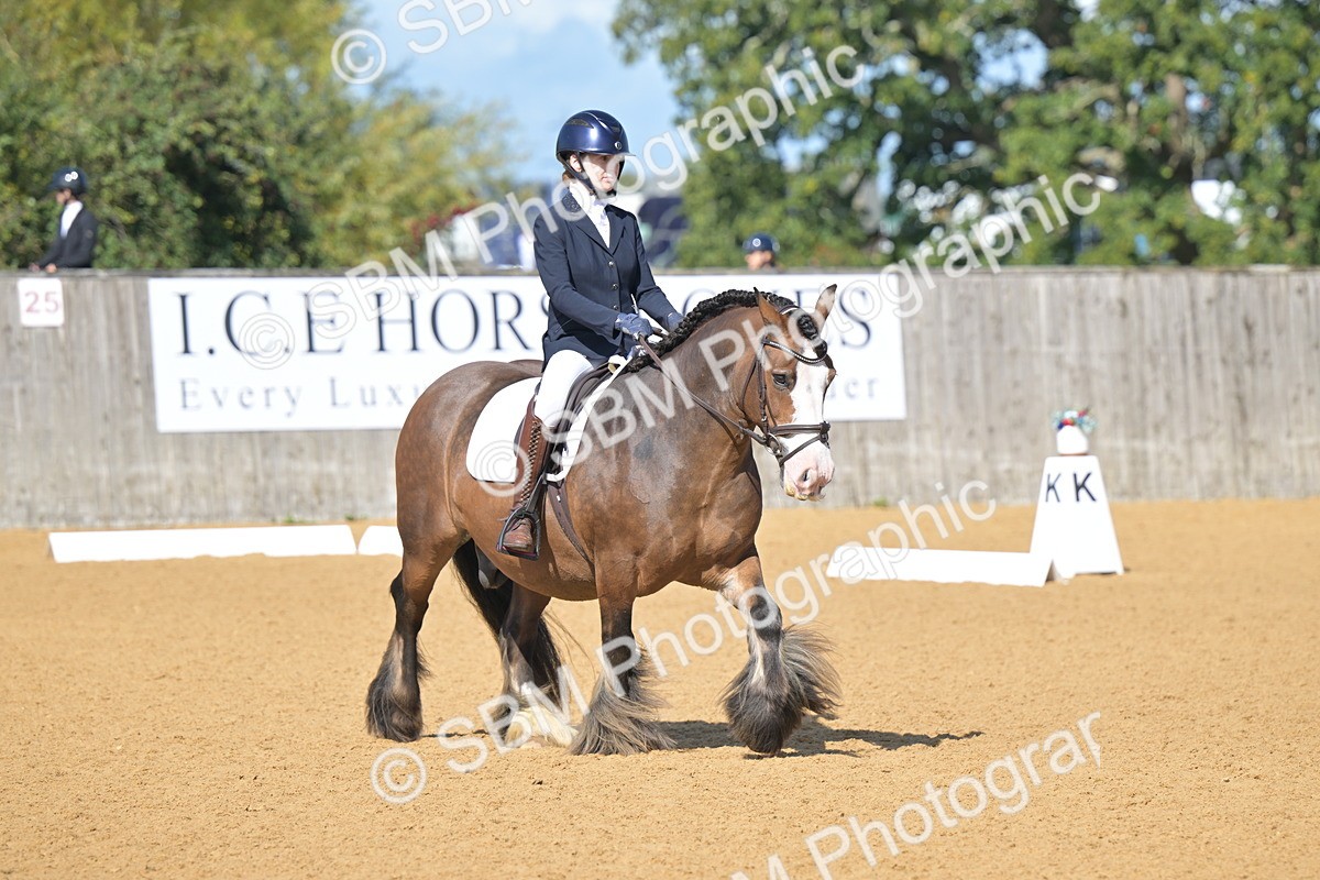 SBM_03946 - D2 - Small Tour Championship Intro 2