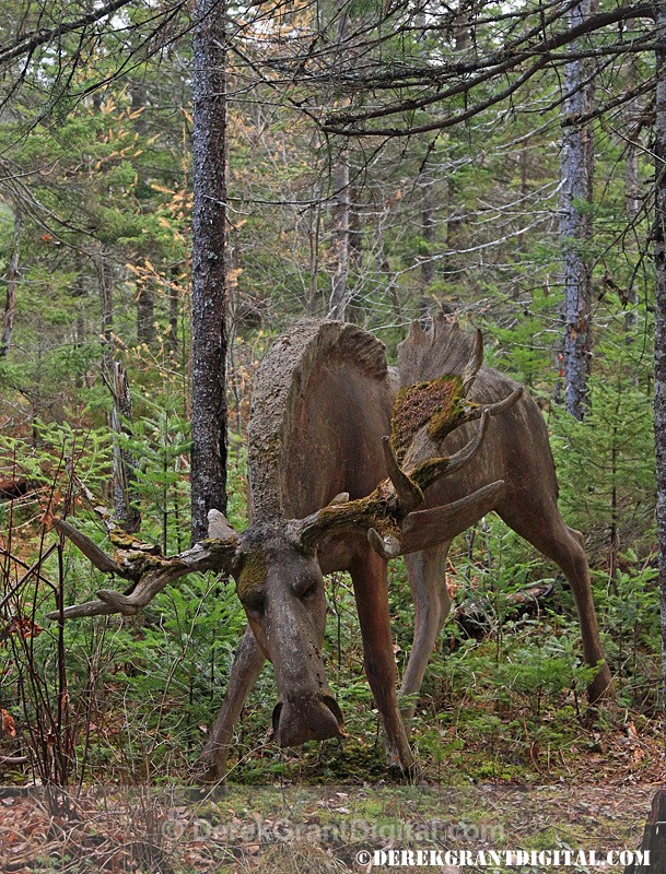 Animaland Sussex New Brunswick Canada - Animaland