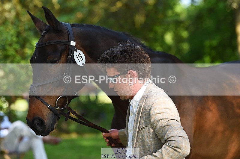 230524-165102-01132 - 119-AUTOGRAF-Simon_Grieve-WEDTrotUp+DR