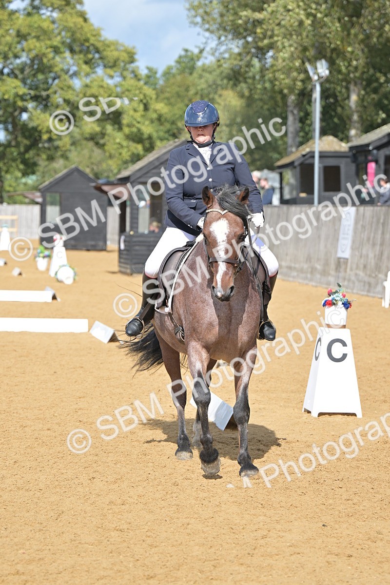 SBM_10948 - D3 - Small Tour Championship Intro 3
