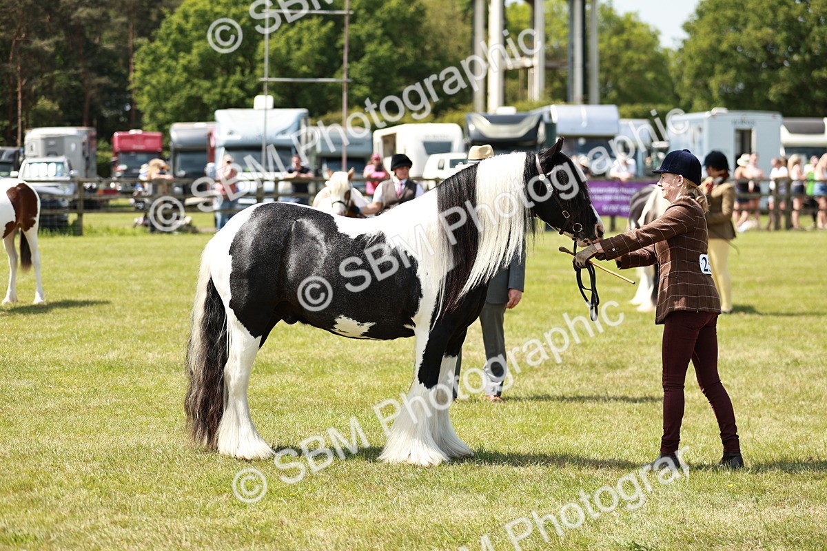 SBM_04240 - Class 39-40 - BSPA Coloured In Hand