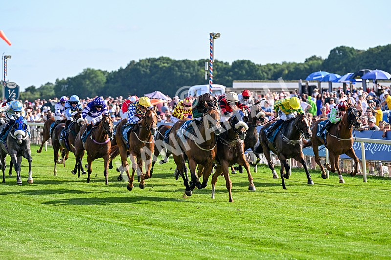 110726-Race 7-Magic Boy-8745 - Race 7 17.30pm John Smith's Sprint Handicap