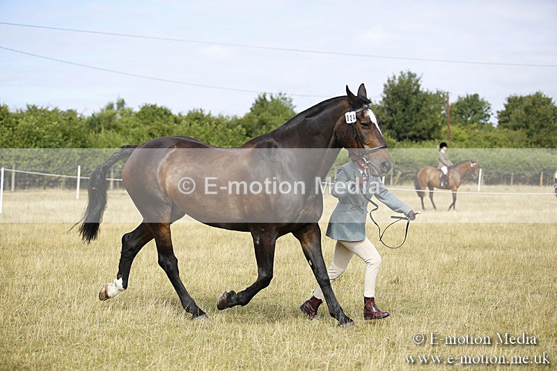 _C7A9369 - BVRC Sow 2018 Ring 2