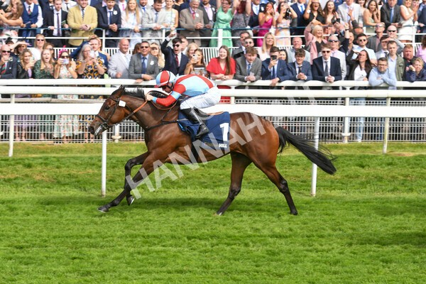 yr21052022r4-20 - Race 4: 3:30pm William Hill Brontë Cup
