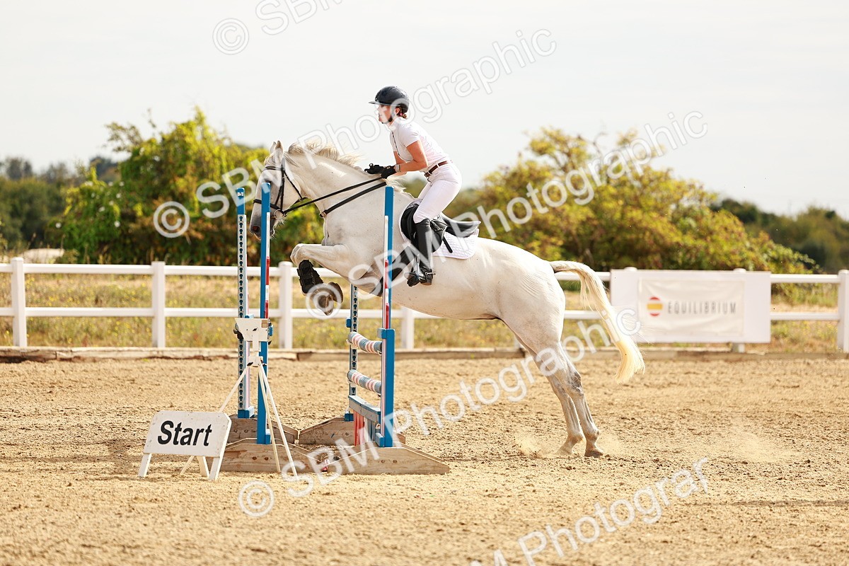 SBM_002131 - Class 9 - Senior British Novice - 90cm