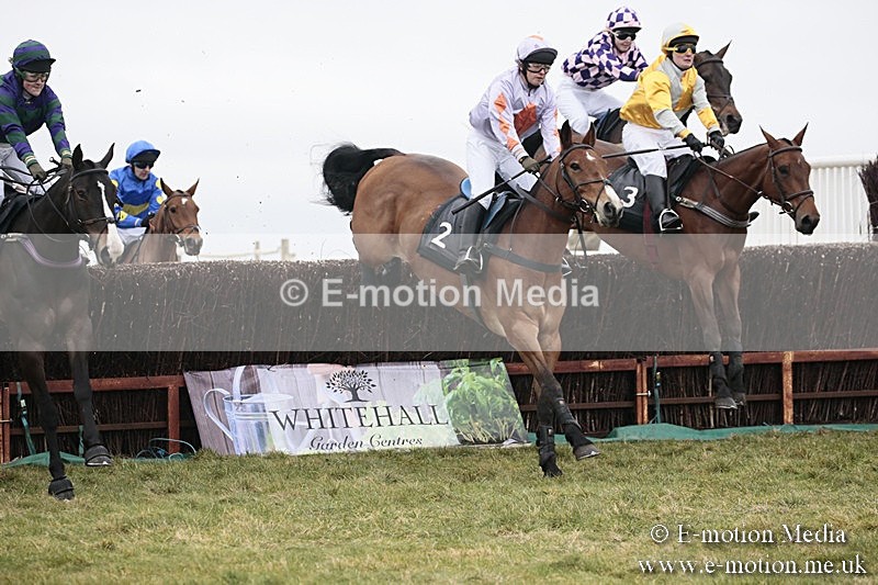 PtP 180218 115 - Combined Services Point-to-Point Larkhill 18/02/18