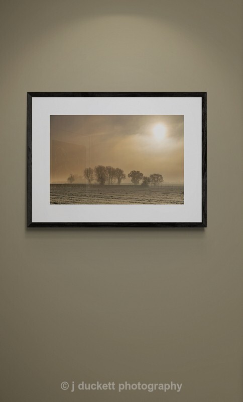  - Winter Sun