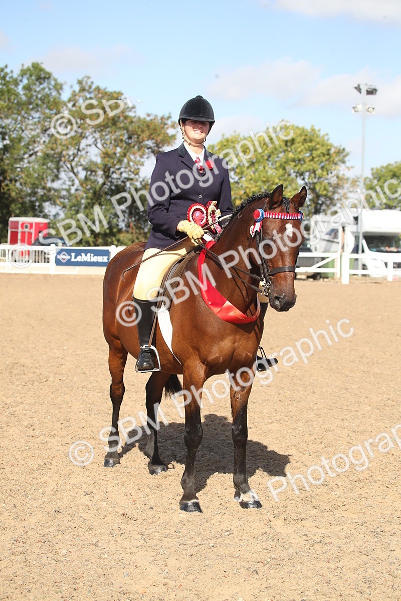SBM_22854 - Class 602 - 2026 Area - Ridden Veteran
