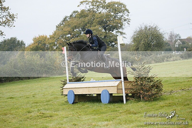 WWHT 181020 WWHT 181020 547 - WWEC Open Novice (0.80m) 18/10/20