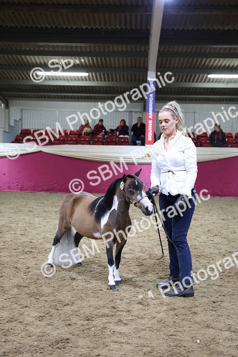 SBM_18767 - Class D IH Pony Champ