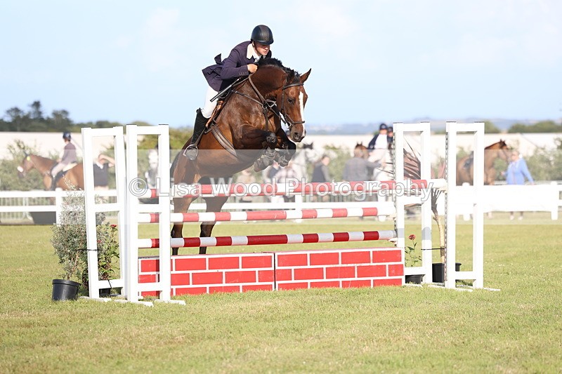 3E7A4423 - Class C: Showjumping Senior Foxhunter