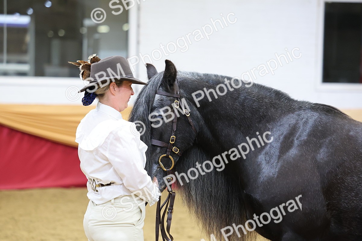 SBM_21041 - Class 902 - Supreme Final IH Veteran