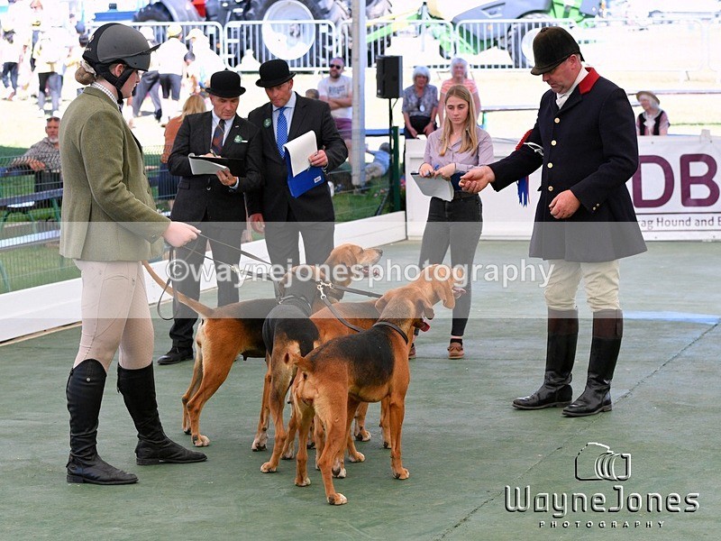 WJ5_1066 - Berks & Bucks at the Great Yorkshire Show 2025