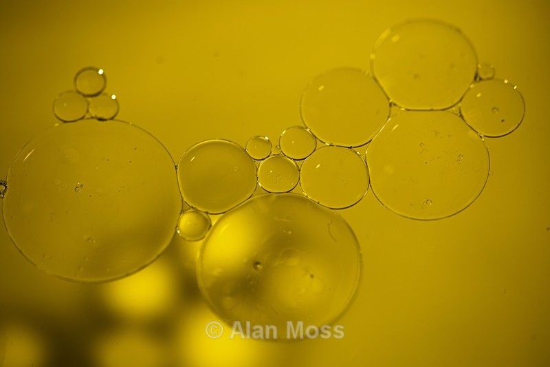  - Still Life & Tabletop