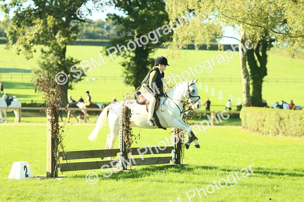 SBM_36278 - S29 - Novice & Newcomers Working Hunter Pony