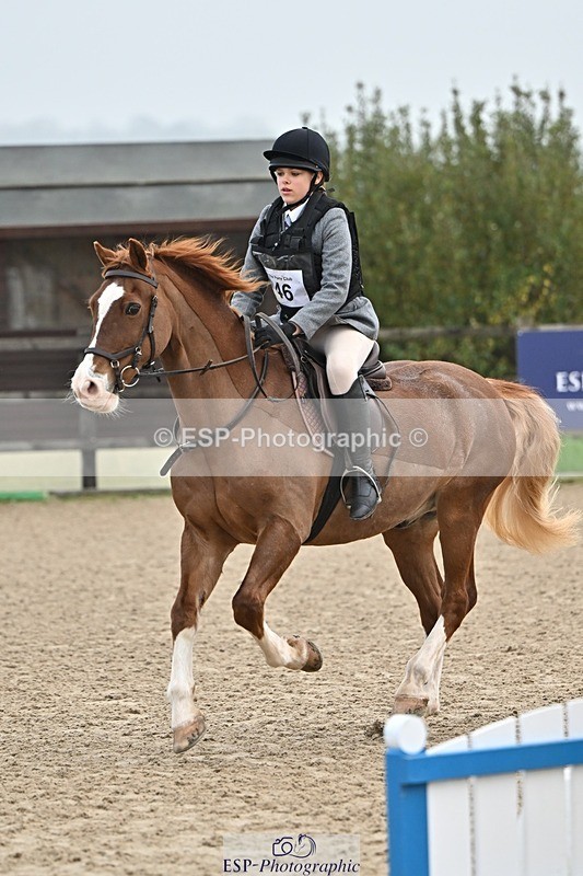 241110-100227-00166 - 40cm Showjumping