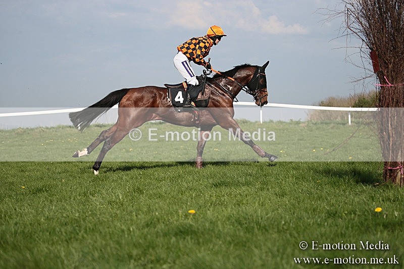 PtP 210418 512 - South & West Wilts Point-to-Point Larkhill 21/04/18