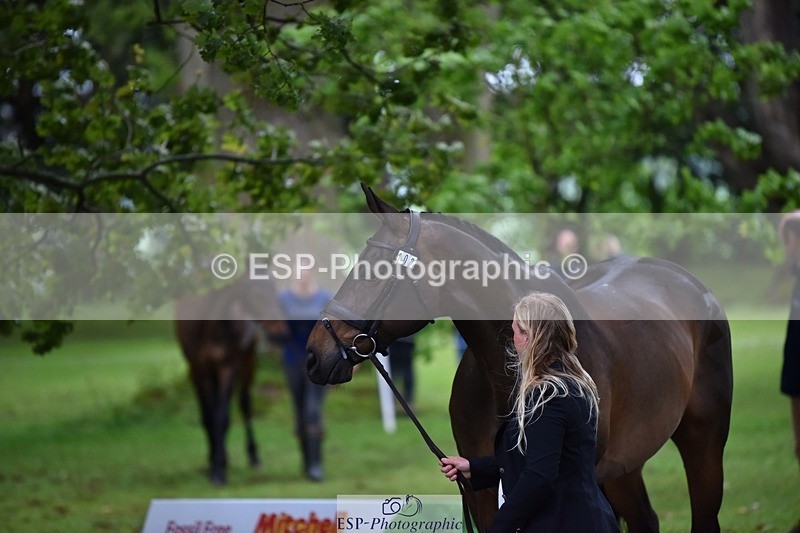 240522-155404-00569 - 102-TYNAN_COOLEY-Lucy_Stimson