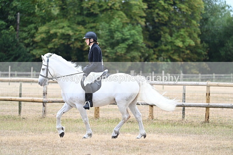 WJ7_0337 - Class 6 Ridden Mountain and Moorland