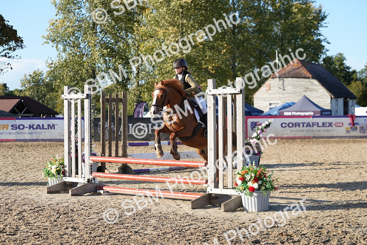 SBM_53730 - J8 - Junior Pony 65cm Championship
