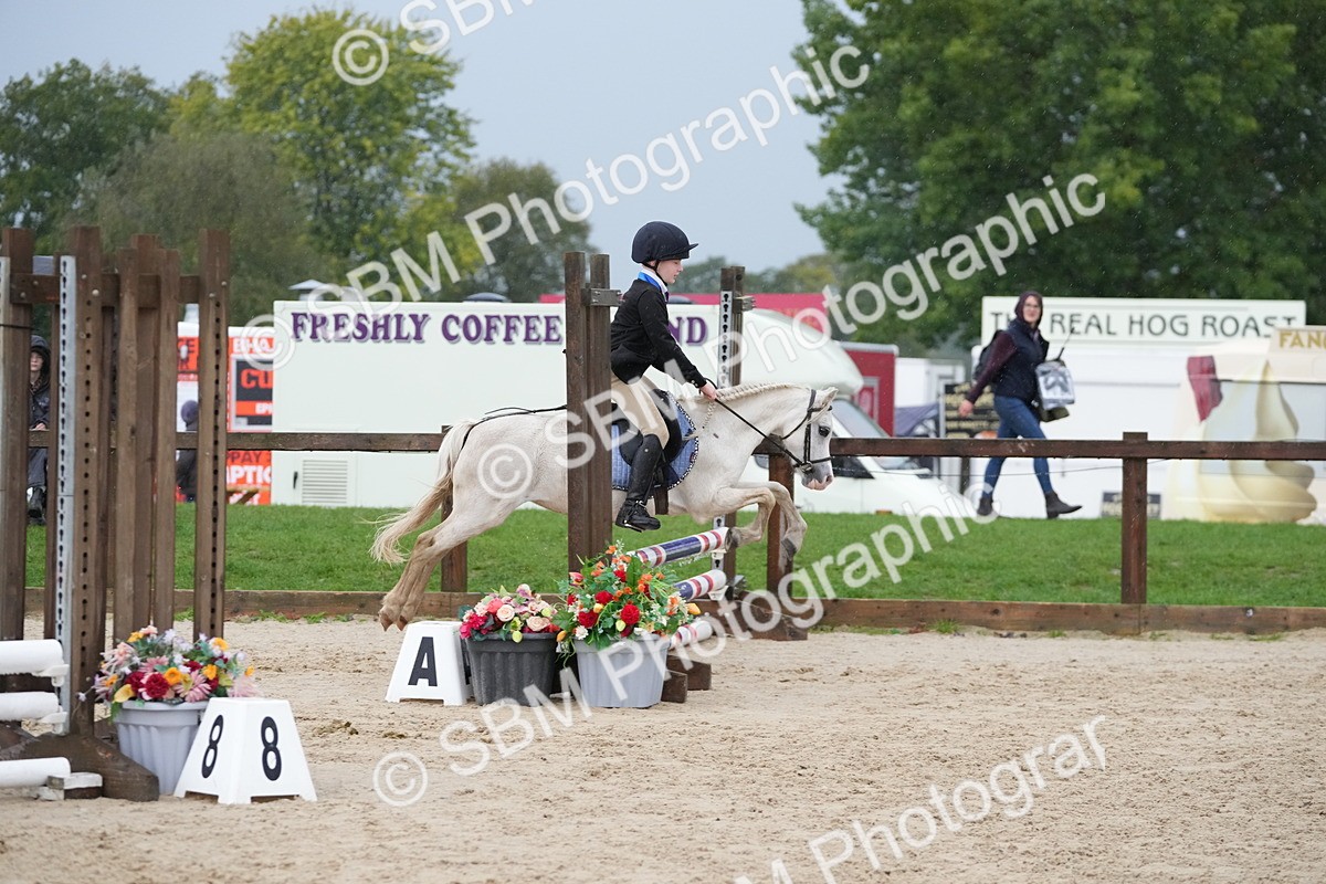 SBM_33900 - J5 - Junior Pony 50cm Championship