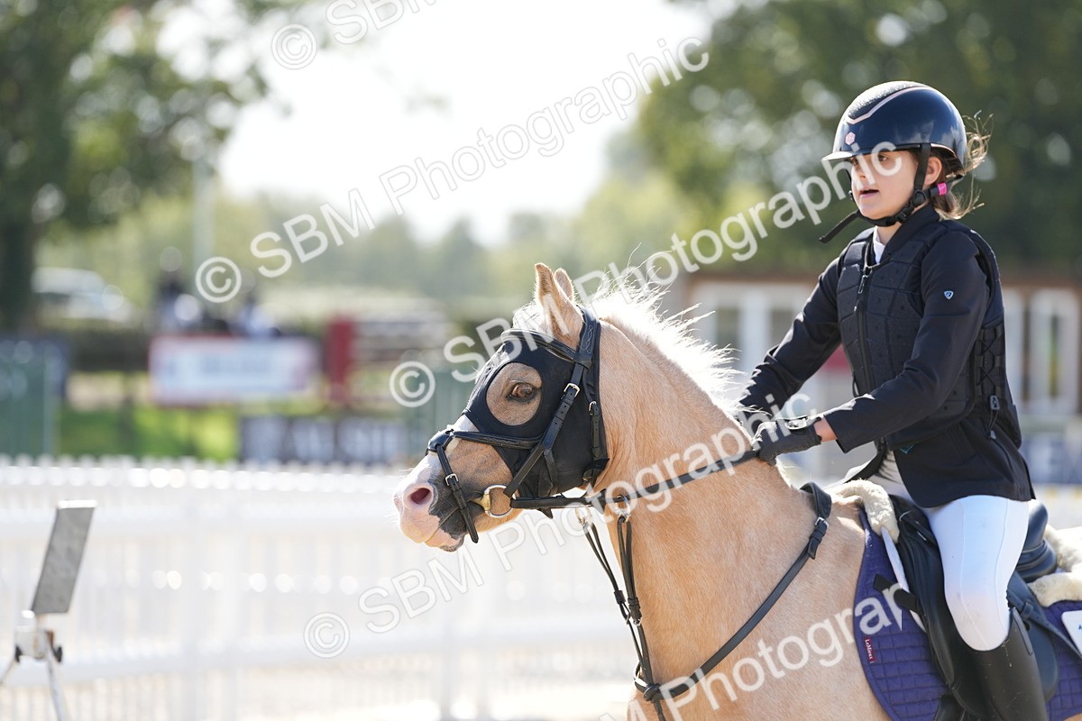 SBM_38478 - J6 - Junior Pony 55cm Championship