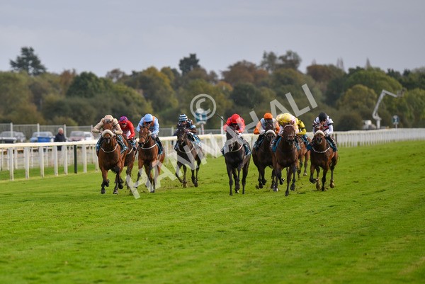 131023-Race 5-Irish Nectar-9665 - Race 5 4.25pm Parsonage Hotel And Cloisters Spa Nursery Handicap