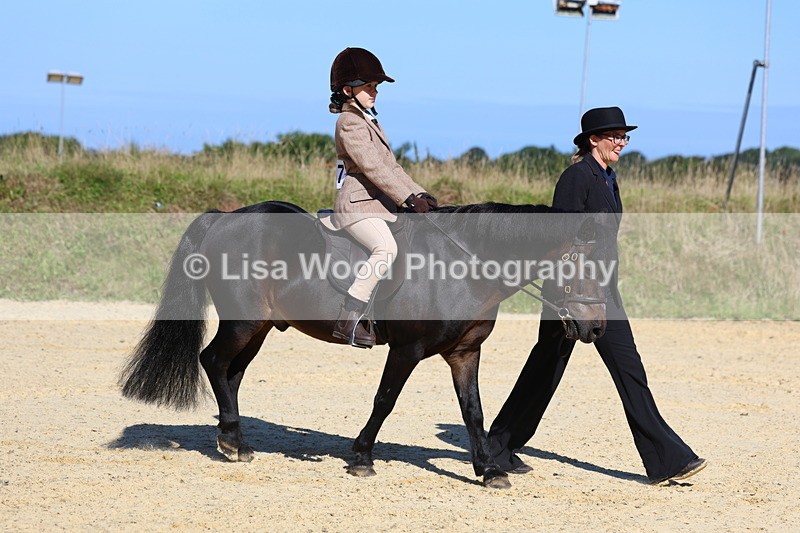 3E7A8004 - Class 15: Lead Rein