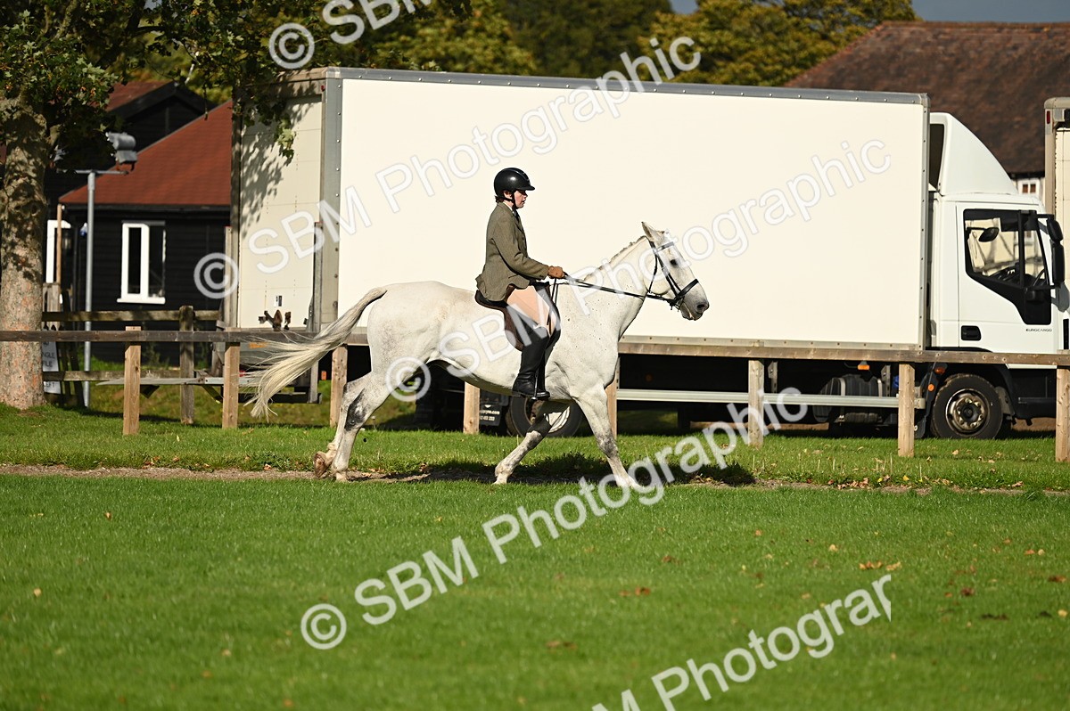 SBM_26445 - S6 - Novice & newcomer Ridden horse