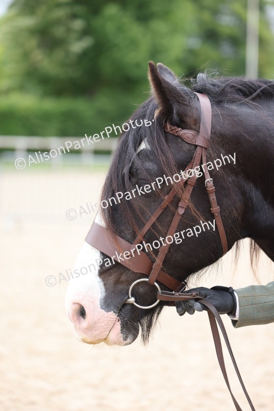 20250524-0753 - Class 7 - Veteran