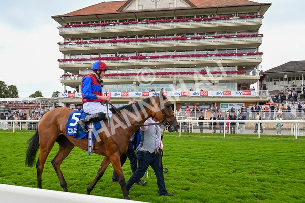 220824-Race 4-Content-6923 - Race 4 3.35pm Pertemps Network Yorkshire Oaks