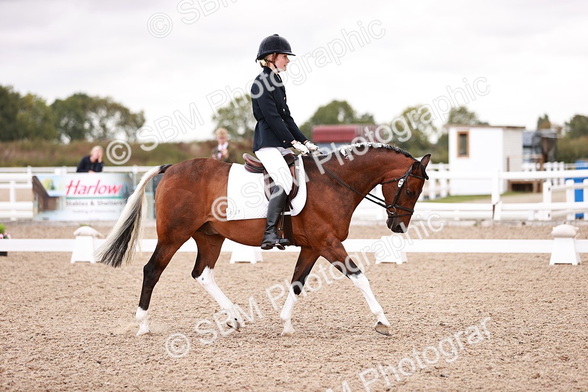 SBM_04028 - Class 36 - Prelim 5