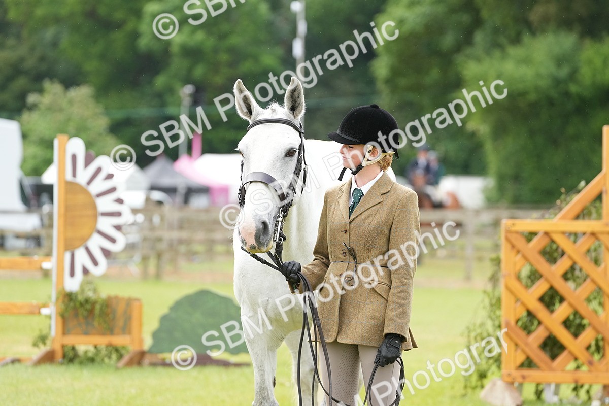 SBM_12745 - Class 97-98 - LIHS BSHA Rising Star Working Show Horse Hunter