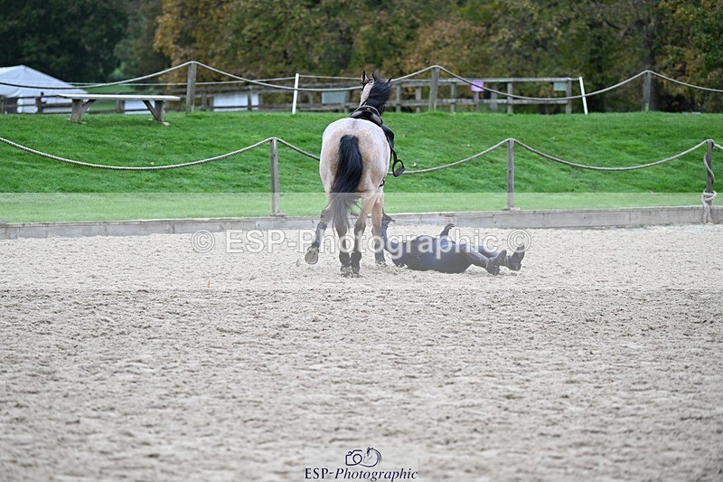 241116-105709-00724 - Cls 2 80-85cm Start to 11.30