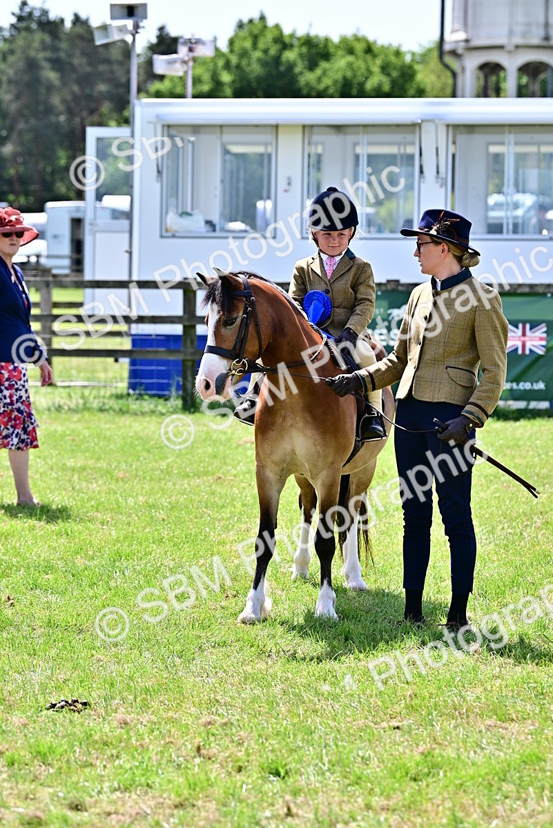 SBM_06450 - Class 59-60 - TSR M&M  Lear Rein and First Ridden Amateur of the year