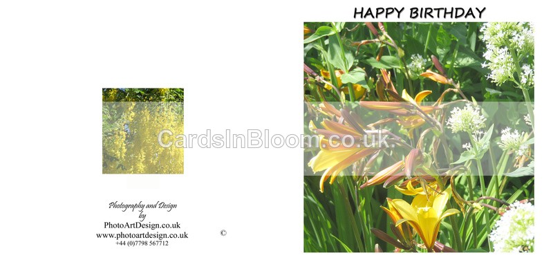 005 Day Lilies - Happy Birthday - Birthday