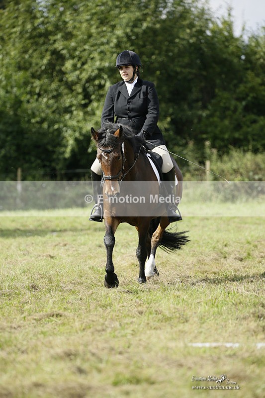 BVRC 120921 283 - Bourne Valley Riding Club UA Dressage & Show Jumping 12/09/21