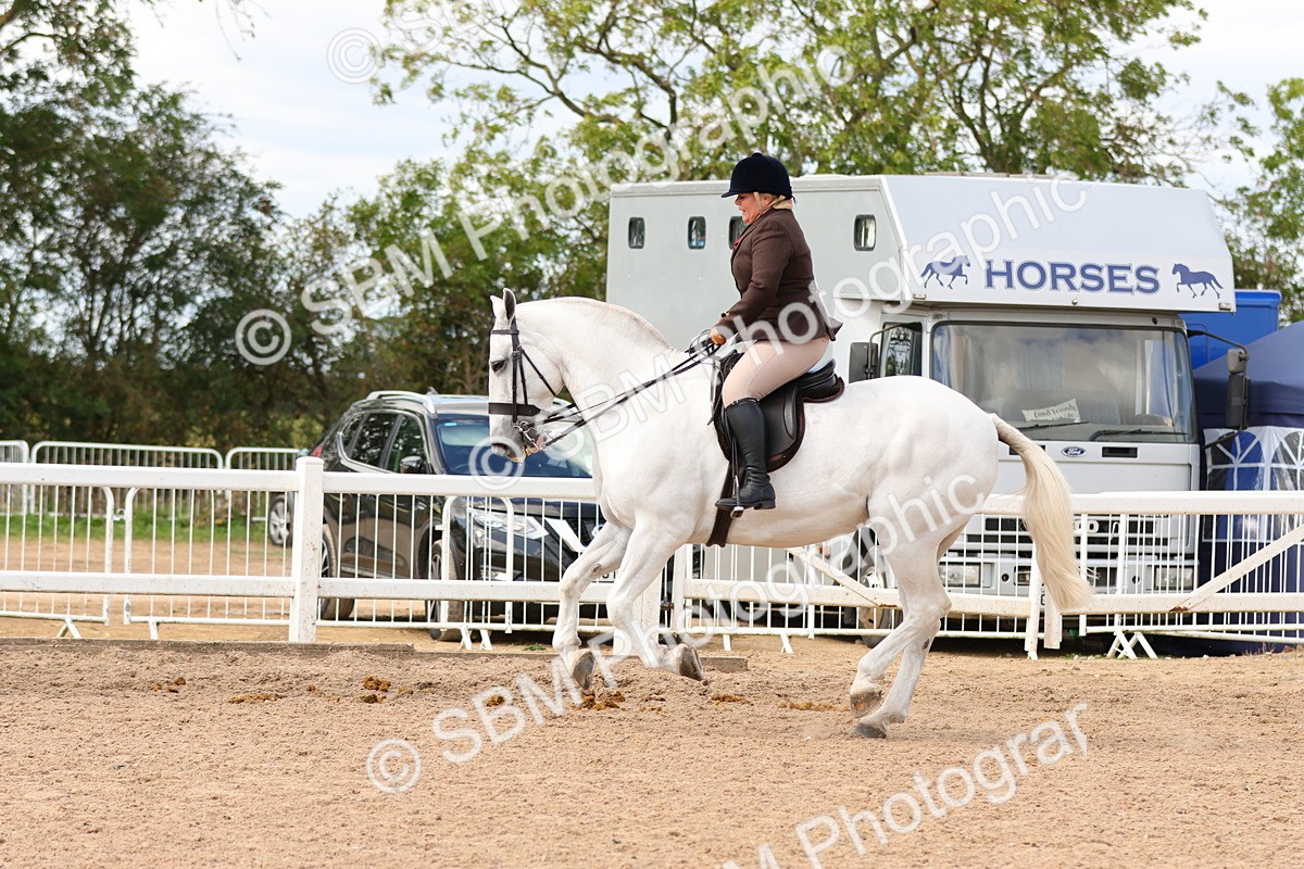 SBM_15497 - Class 214 - Ridden Show Cob