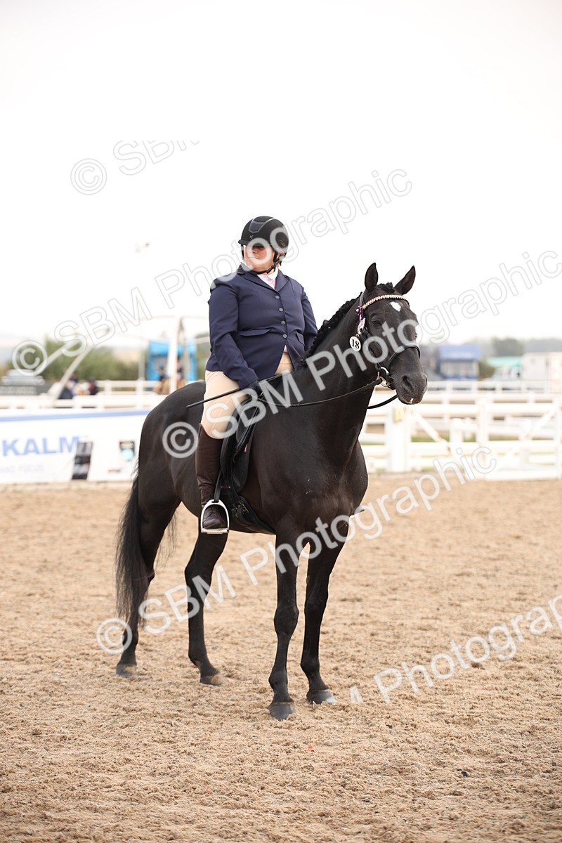 SBM_22253 - Class 708 - Ridden Rescue