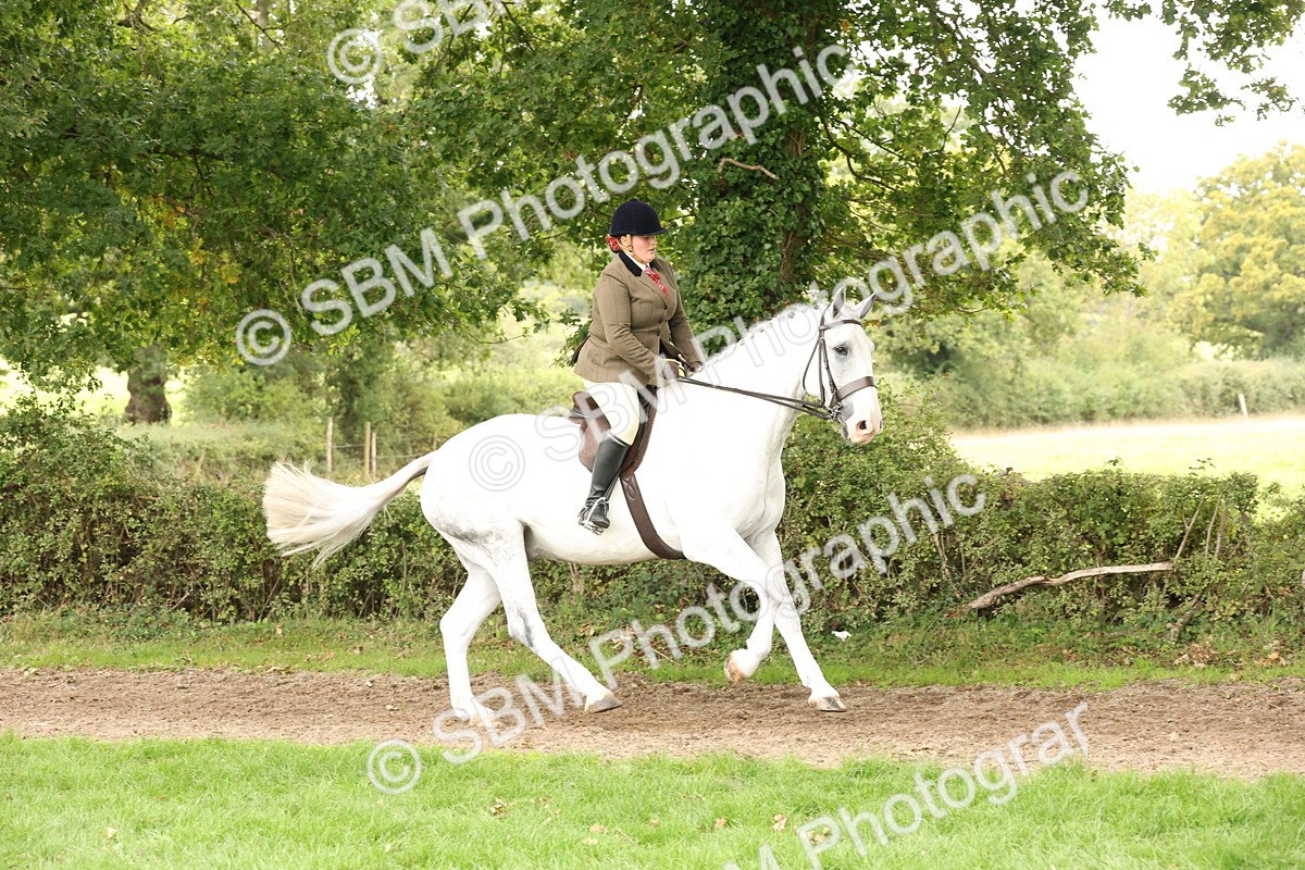 SBM_66305 - S66 - Hunter Ridden