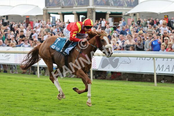 yr04092022r3-24 - Race 3 2.55pm The Elevator Company Garrowby Stakes